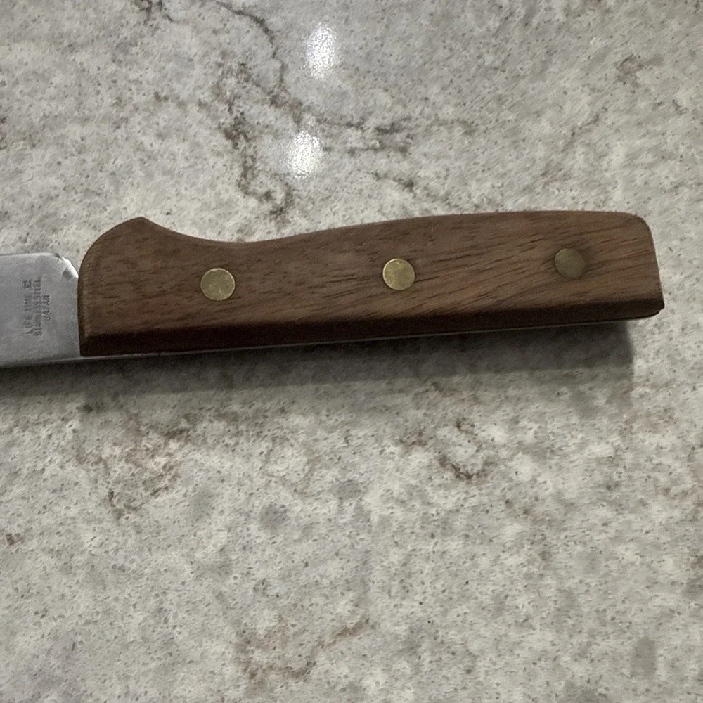 Vintage Pierre Santini Stainless Steel Serrated Carving Knife Wood Handle Japan